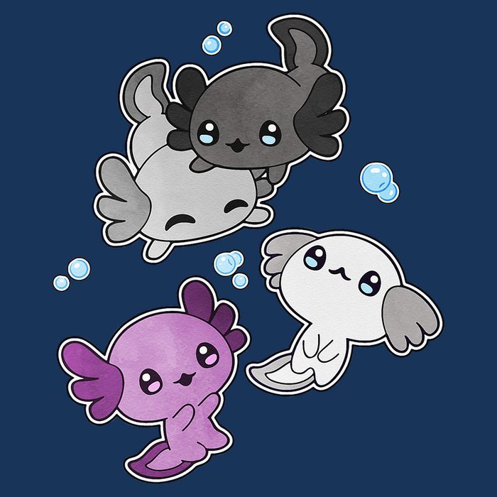 Asexual Axolotl LGBT Demisexual Ace Pride Flag Pet Aquarium T-Shirt