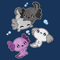 Asexual Axolotl LGBT Demisexual Ace Pride Flag Pet Aquarium Womens T-Shirt