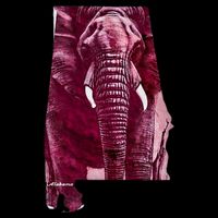 Alabama Drawstring Bag