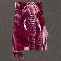 Alabama Cotton Canvas Backpack