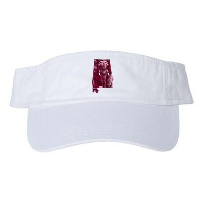 Alabama Visor