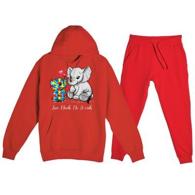 Autism Awareness Love Needs No Words Elephant Support Gifts Premium Hooded Sweatsuit Set