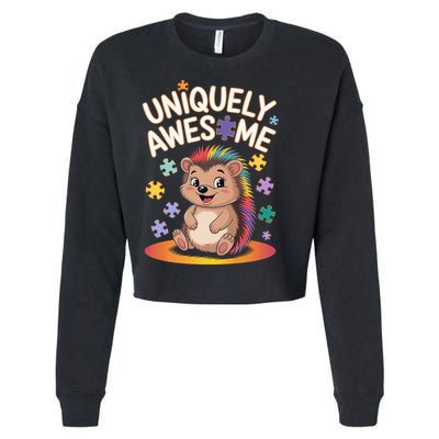 Autism Awareness Month Hedgehog Acceptance Neurodiversity Cropped Pullover Crew