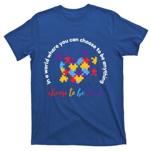 Autism Awareness Month Choose Kindness Acceptance Puzzle Funny Gift T-Shirt