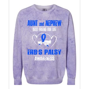 Aunt And Nephew Best Friend Of Life Erbs Palsy Awareness Gift Colorblast Crewneck Sweatshirt