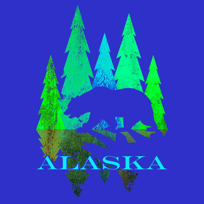 Alaska Alaskan Northern Light Trees With Bear Bag