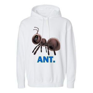 Ant Garment-Dyed Fleece Hoodie