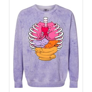 Aanatomicat Cat Chest Skeleton Colorblast Crewneck Sweatshirt