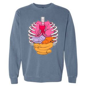 Aanatomicat Cat Chest Skeleton Garment-Dyed Sweatshirt