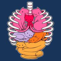 Aanatomicat Cat Chest Skeleton Button