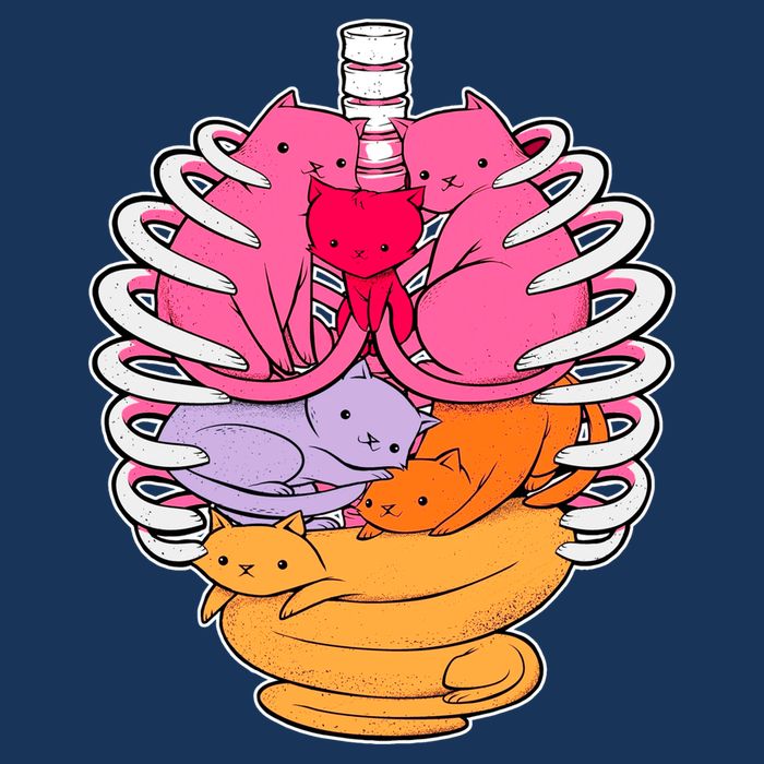 Aanatomicat Cat Chest Skeleton Button