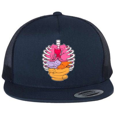 Aanatomicat Cat Chest Skeleton Flatbill Hat