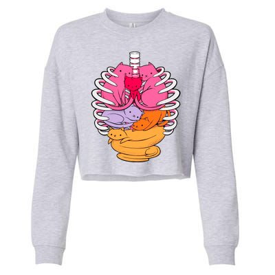 Aanatomicat Cat Chest Skeleton Cropped Pullover Crew