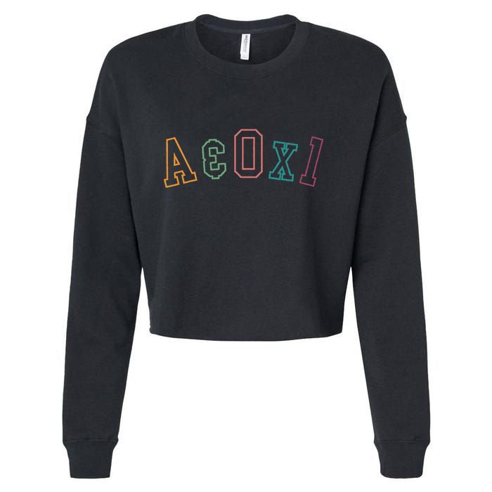 Alert And Oriented A&Ox1 Alert Oriented To Person Nursing Cropped Pullover Crew