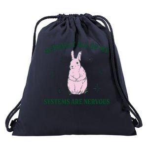 Actually All Of My Systems Are Nervous Funny Mental Health Drawstring Bag