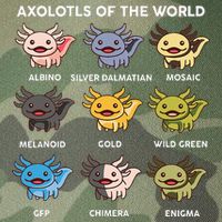 Axolotl Axolotl Of World Kids Legacy Tie Dye Trucker Hat