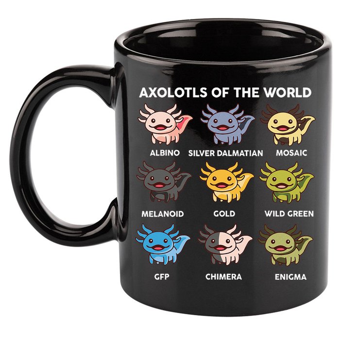 Axolotl Axolotl Of World Kids 11oz C Handle Ceramic Mug