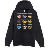 Axolotl Axolotl Of World Kids Premium Pullover Hoodie
