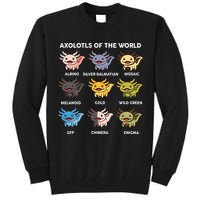 Axolotl Axolotl Of World Kids Tall Sweatshirt