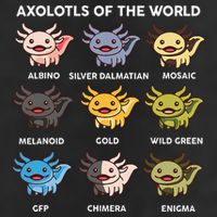 Axolotl Axolotl Of World Kids Microfiber Hand Towel