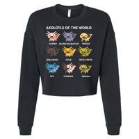 Axolotl Axolotl Of World Kids Cropped Pullover Crew