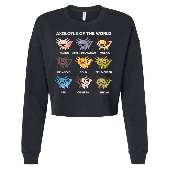Axolotl Axolotl Of World Kids Cropped Pullover Crew