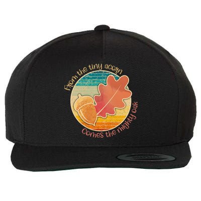 Acorn And Oak Leaf For Nature Lovers Wool Snapback Cap