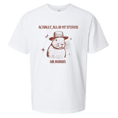 Actually All Of My Systems Are Nervous Sueded Cloud Jersey T-Shirt