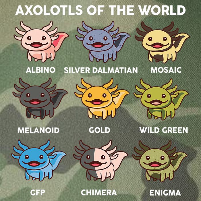 Axolotl-  Axolotl Of World  Legacy Tie Dye Trucker Hat