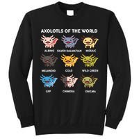 Axolotl-  Axolotl Of World  Sweatshirt