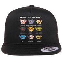 Axolotl-  Axolotl Of World  Flatbill Hat