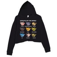Axolotl-  Axolotl Of World  Crop Fleece Hoodie