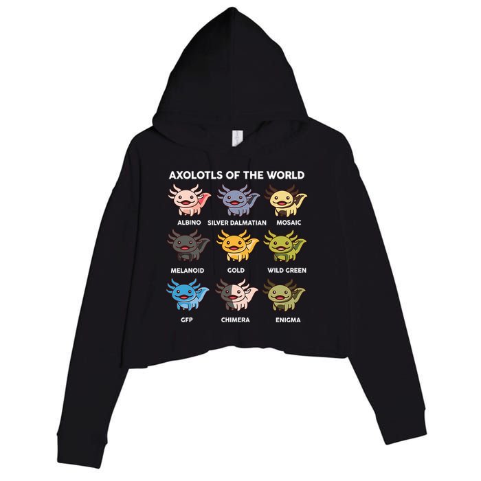Axolotl-  Axolotl Of World  Crop Fleece Hoodie