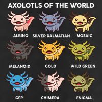 Axolotl-  Axolotl Of World  Crop Fleece Hoodie