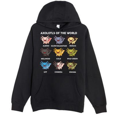 Axolotl-  Axolotl Of World  Premium Pullover Hoodie