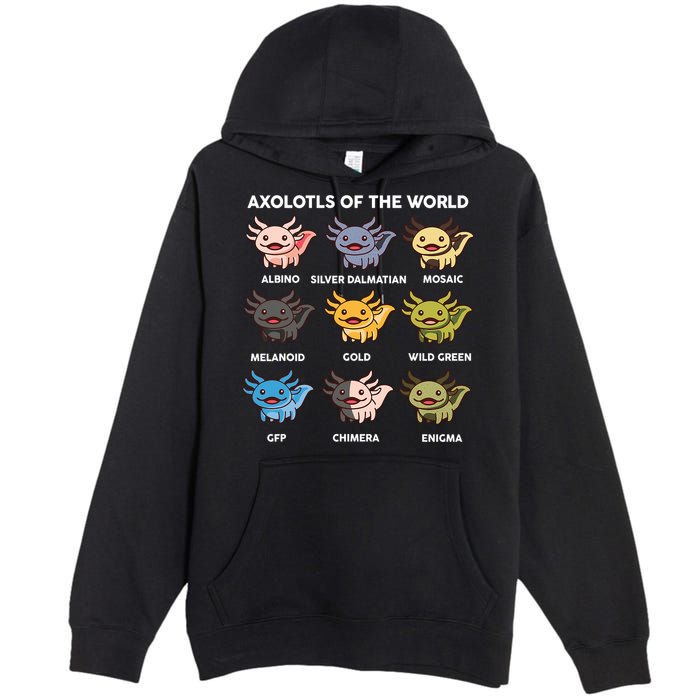 Axolotl-  Axolotl Of World  Premium Pullover Hoodie