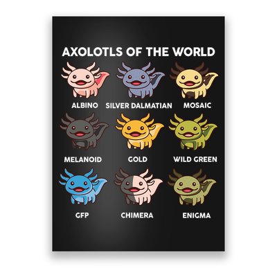 Axolotl-  Axolotl Of World  Poster