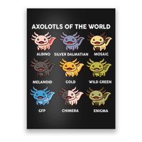 Axolotl-  Axolotl Of World  Poster