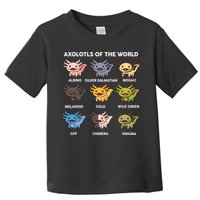 Axolotl-  Axolotl Of World  Toddler T-Shirt