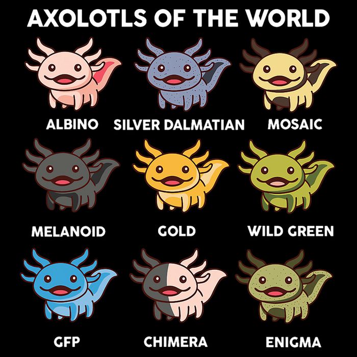 Axolotl-  Axolotl Of World  Toddler T-Shirt