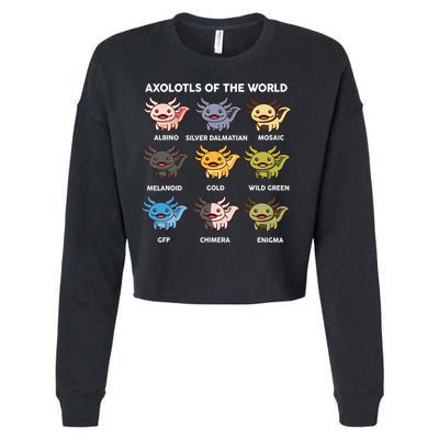 Axolotl-  Axolotl Of World  Cropped Pullover Crew