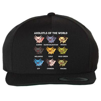 Axolotl-  Axolotl Of World  Wool Snapback Cap