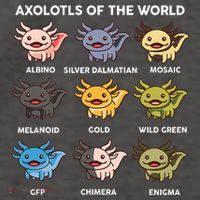 Axolotl-  Axolotl Of World  Vector Backpack