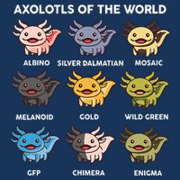 Axolotl-  Axolotl Of World  Infant Baby Jersey Bodysuit