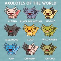 Axolotl-  Axolotl Of World  Sueded Cloud Jersey T-Shirt