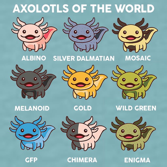 Axolotl-  Axolotl Of World  Sueded Cloud Jersey T-Shirt