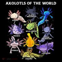 Axolotl Animals Of The World Kawaii Salamander Herpetology Sustainable Bucket Hat