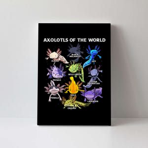 Axolotl Animals Of The World Kawaii Salamander Herpetology Canvas