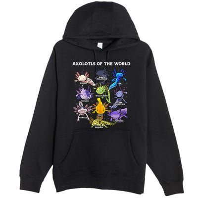 Axolotl Animals Of The World Kawaii Salamander Herpetology Premium Pullover Hoodie
