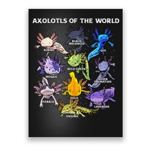 Axolotl Animals Of The World Kawaii Salamander Herpetology Poster